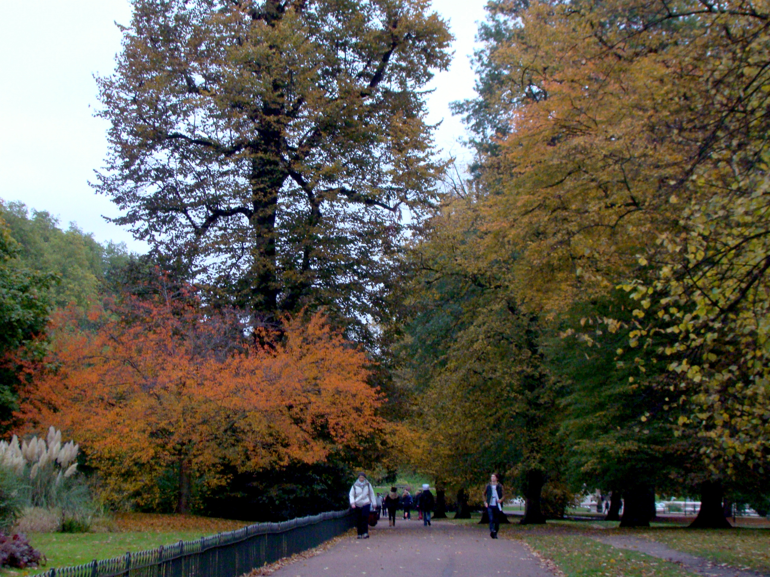PARK LONDYŃSKI