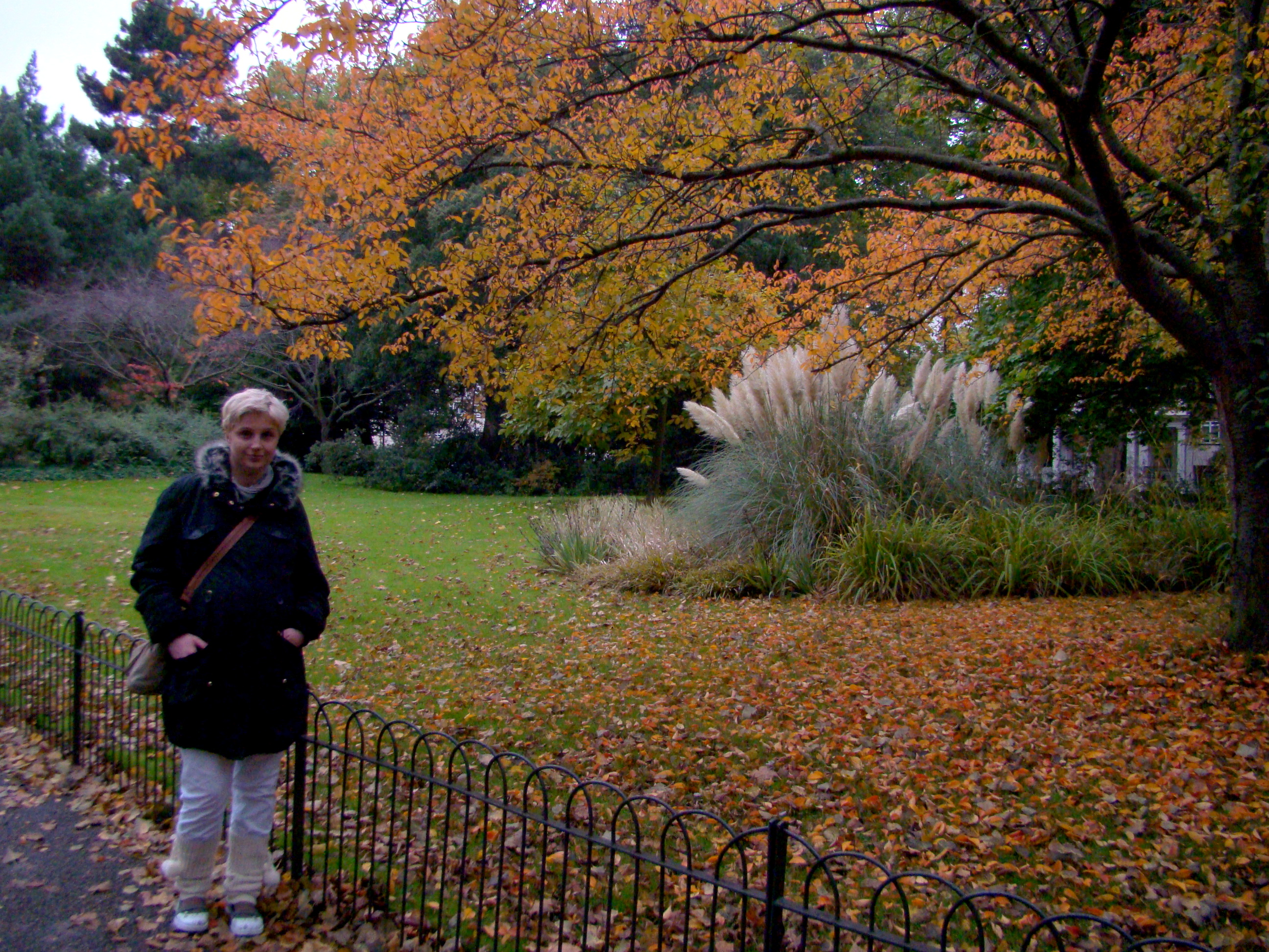 PARK LONDYŃSKI